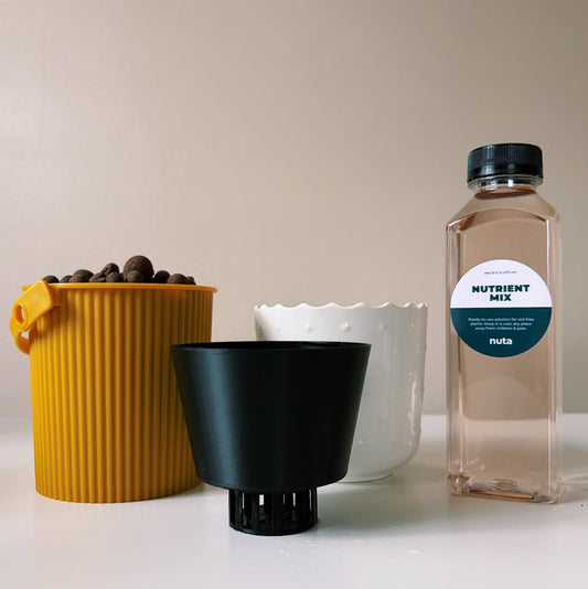 Starter kit with small Dotted White