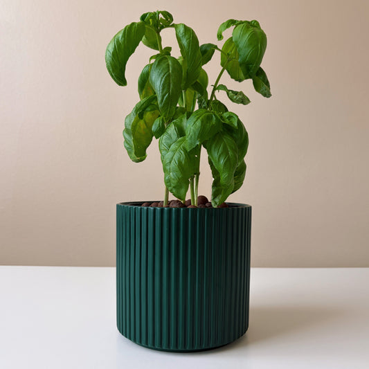 Green potted plant in a ribbed pot on a beige background